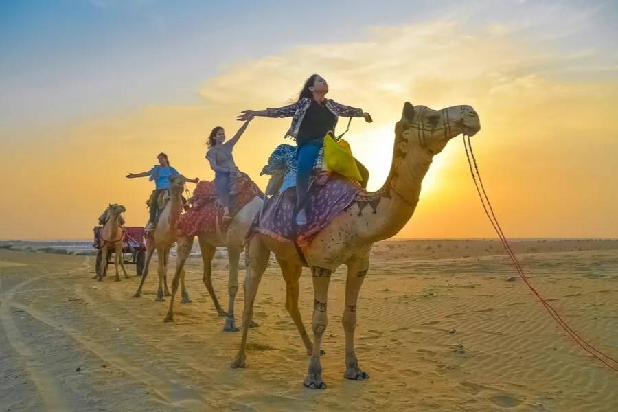 Camel safari